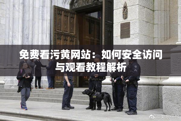 免费看污黄网站：如何安全访问与观看教程解析