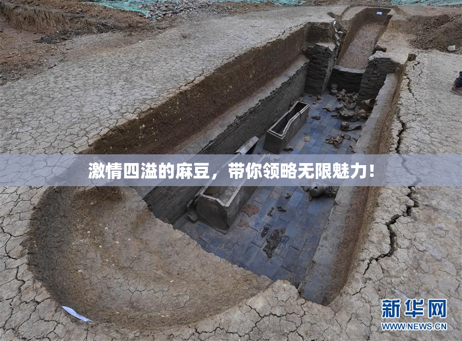 激情四溢的麻豆，带你领略无限魅力！