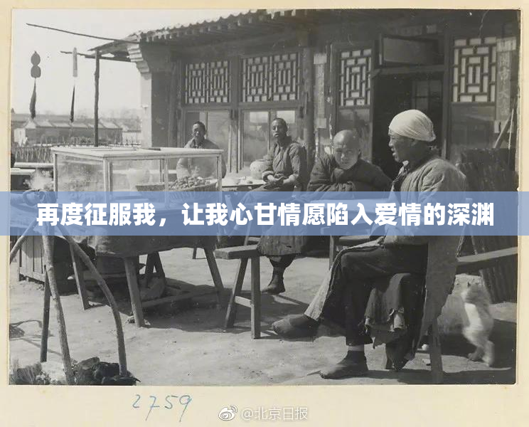 再度征服我，让我心甘情愿陷入爱情的深渊