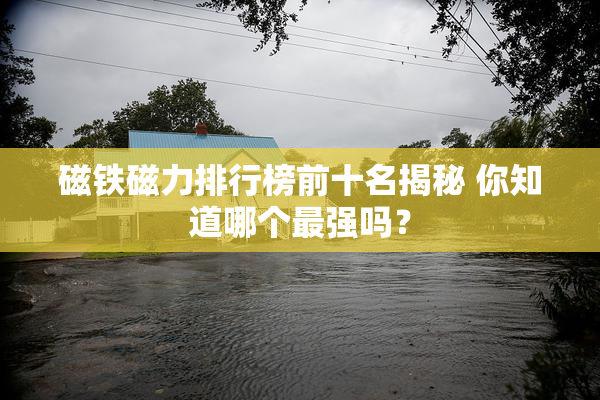 磁铁磁力排行榜前十名揭秘 你知道哪个最强吗？