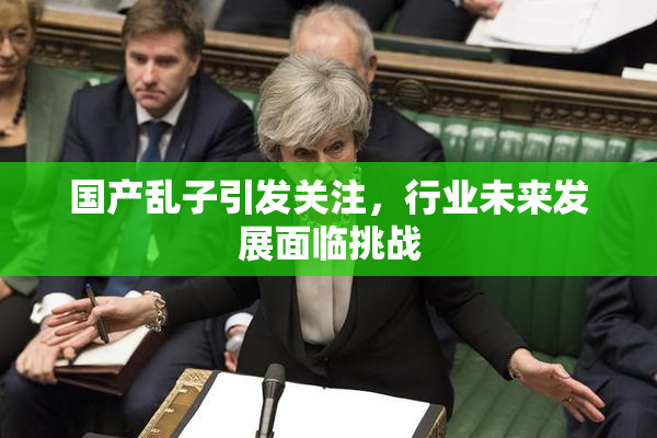 国产乱子引发关注，行业未来发展面临挑战