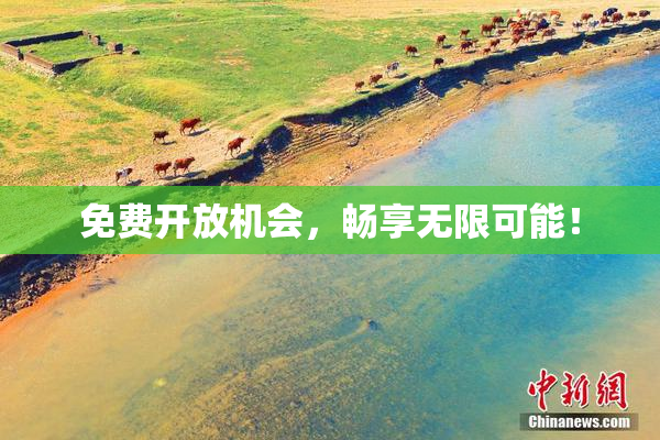 免费开放机会，畅享无限可能！