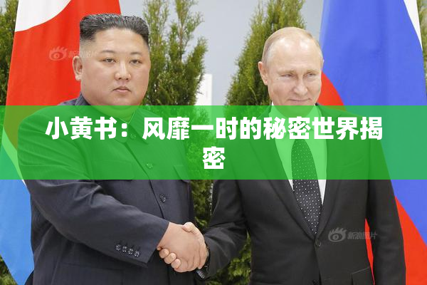 小黄书：风靡一时的秘密世界揭密