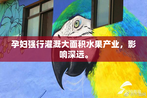 孕妇强行灌溉大面积水果产业，影响深远。