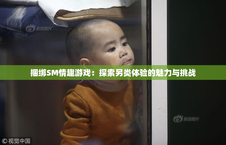 捆绑SM情趣游戏：探索另类体验的魅力与挑战