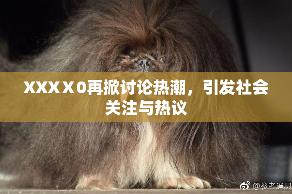 XXXⅩ0再掀讨论热潮，引发社会关注与热议