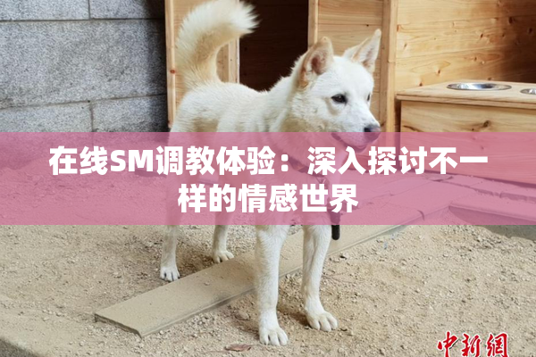 在线SM调教体验：深入探讨不一样的情感世界