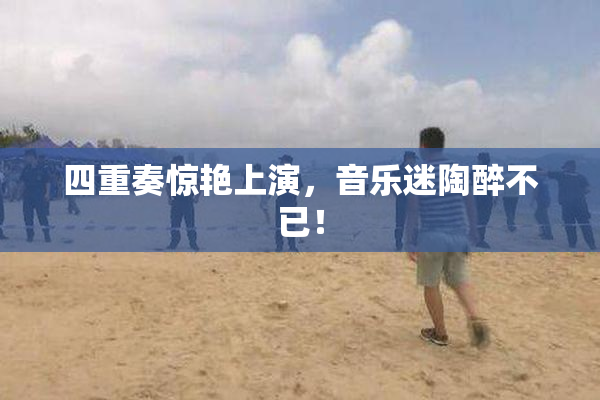 四重奏惊艳上演，音乐迷陶醉不已！