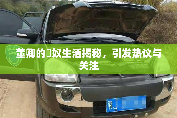 董卿的婬奴生活揭秘，引发热议与关注