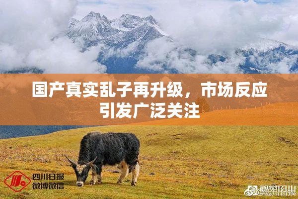 国产真实乱子再升级，市场反应引发广泛关注