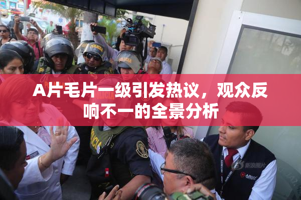 A片毛片一级引发热议，观众反响不一的全景分析