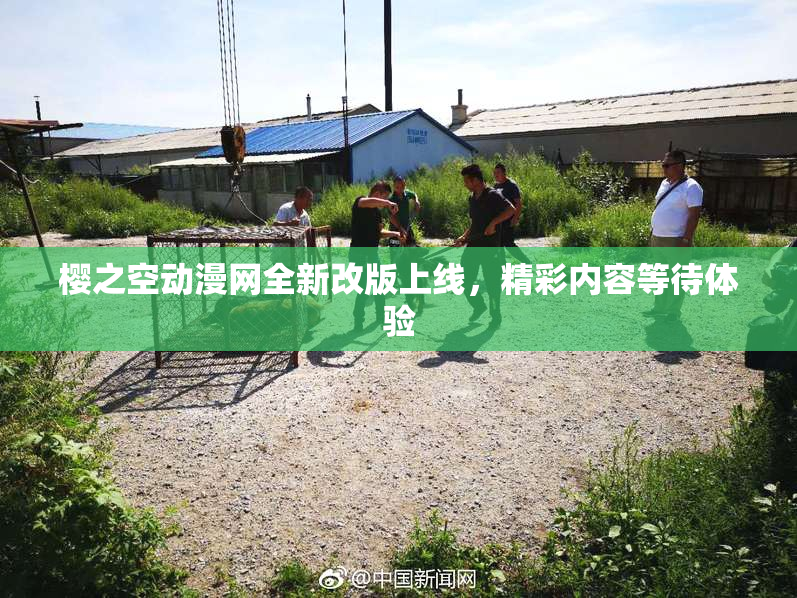 樱之空动漫网全新改版上线，精彩内容等待体验