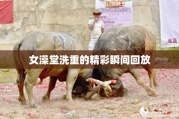女澡堂洗重的精彩瞬间回放