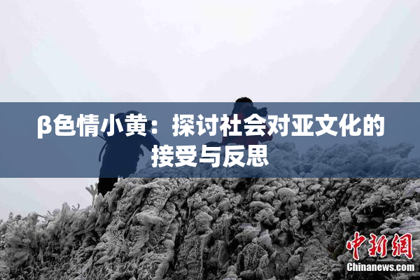 β色情小黄：探讨社会对亚文化的接受与反思