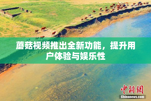 蘑菇视频推出全新功能，提升用户体验与娱乐性