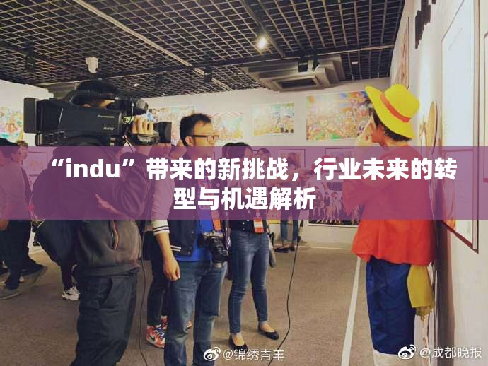 “indu”带来的新挑战，行业未来的转型与机遇解析