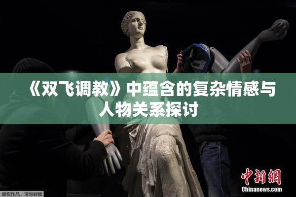 《双飞调教》中蕴含的复杂情感与人物关系探讨