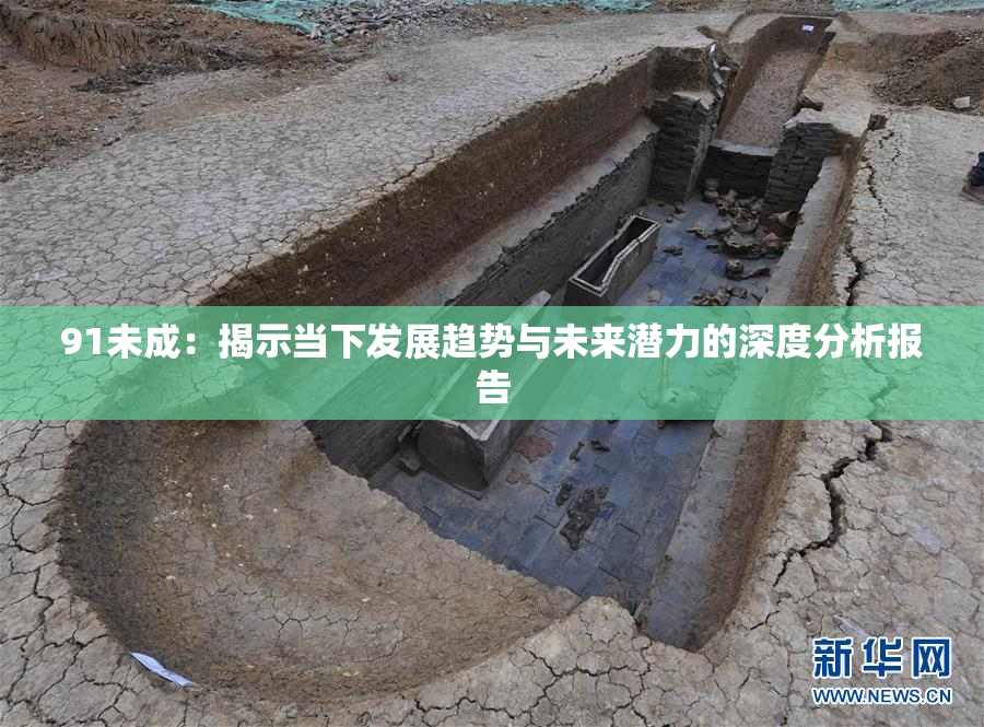 91未成：揭示当下发展趋势与未来潜力的深度分析报告
