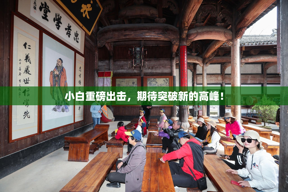 小白重磅出击，期待突破新的高峰！