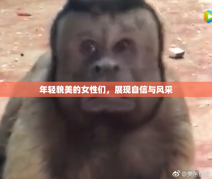 年轻貌美的女性们，展现自信与风采