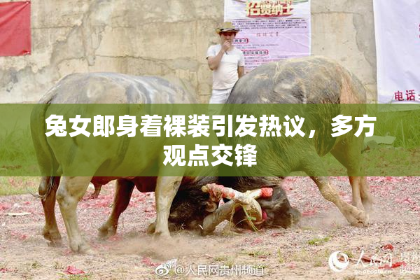 兔女郎身着裸装引发热议，多方观点交锋