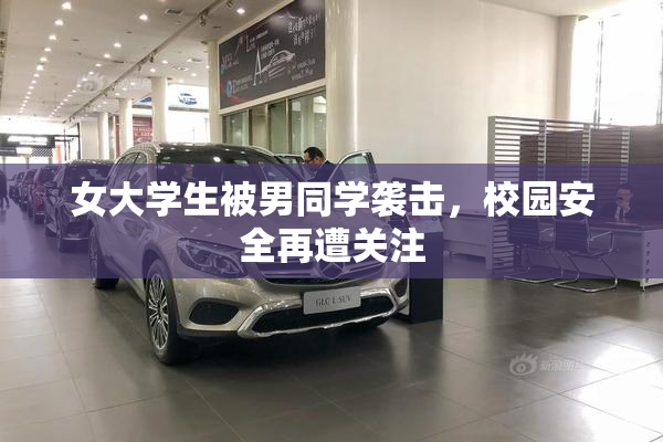 女大学生被男同学袭击，校园安全再遭关注