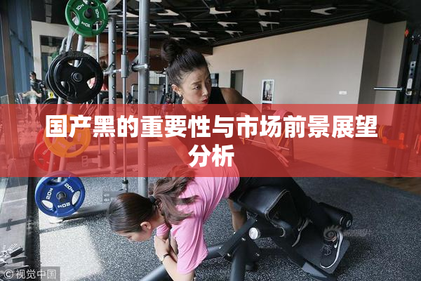 国产黑的重要性与市场前景展望分析