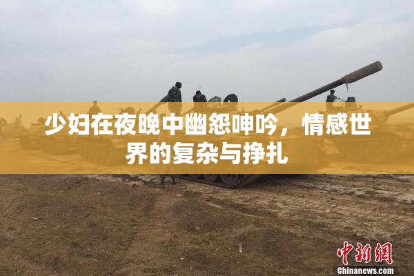 少妇在夜晚中幽怨呻吟，情感世界的复杂与挣扎