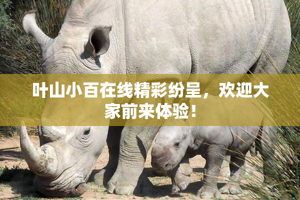 叶山小百在线精彩纷呈，欢迎大家前来体验！