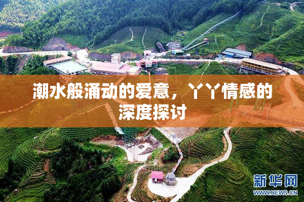 潮水般涌动的爱意，丫丫情感的深度探讨