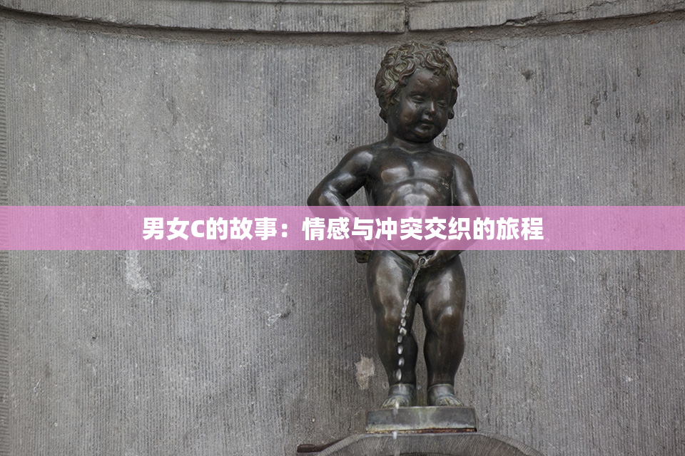 男女C的故事：情感与冲突交织的旅程