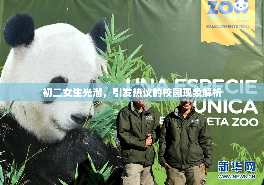 初二女生光溜，引发热议的校园现象解析