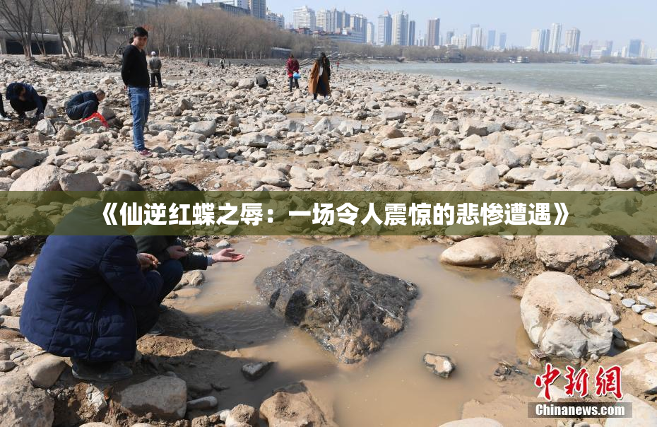 《仙逆红蝶之辱：一场令人震惊的悲惨遭遇》