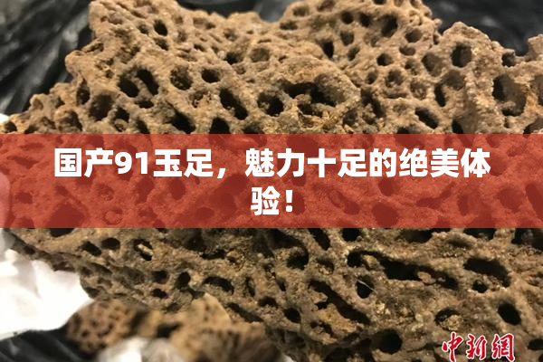 国产91玉足，魅力十足的绝美体验！