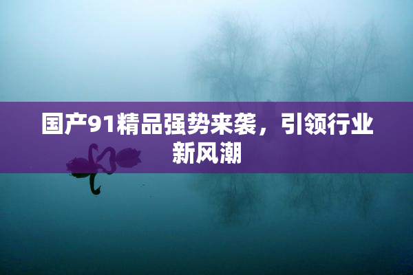 国产91精品强势来袭，引领行业新风潮