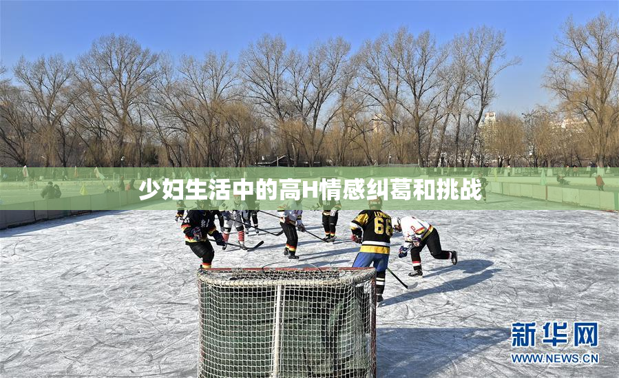 少妇生活中的高H情感纠葛和挑战