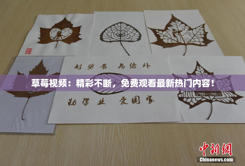 草莓视频：精彩不断，免费观看最新热门内容！