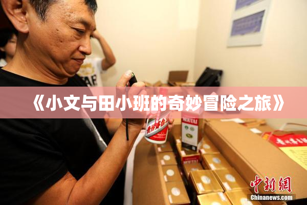 《小文与田小班的奇妙冒险之旅》