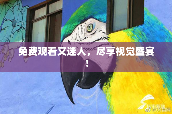 免费观看又迷人，尽享视觉盛宴！