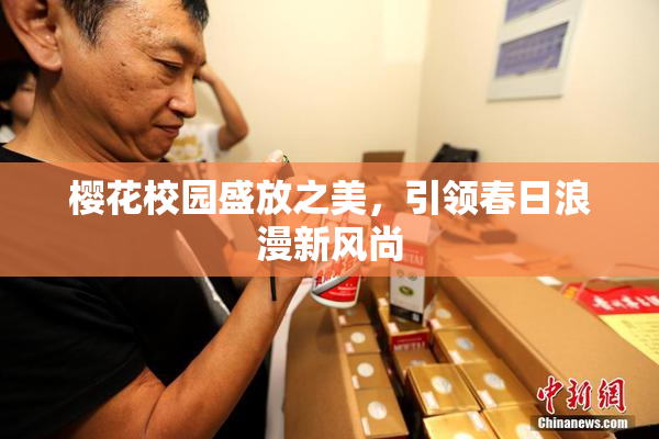 樱花校园盛放之美，引领春日浪漫新风尚