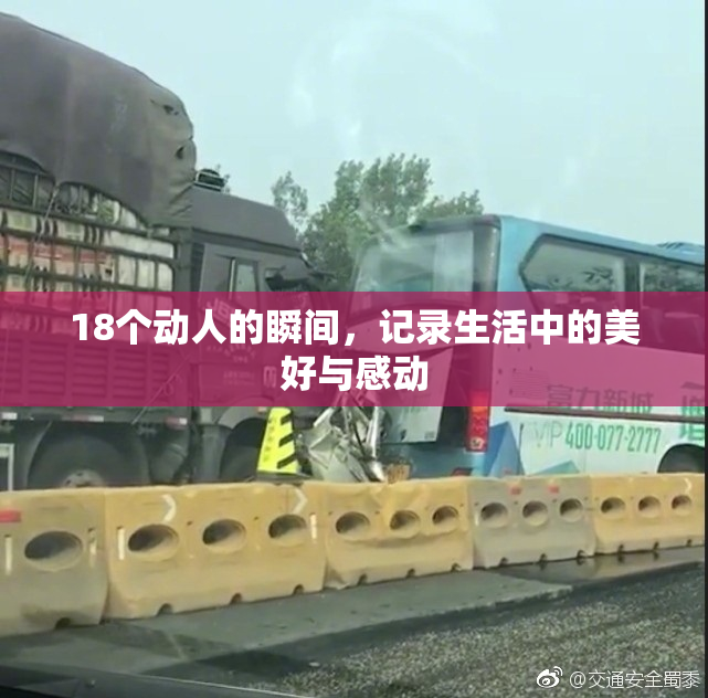 18个动人的瞬间，记录生活中的美好与感动