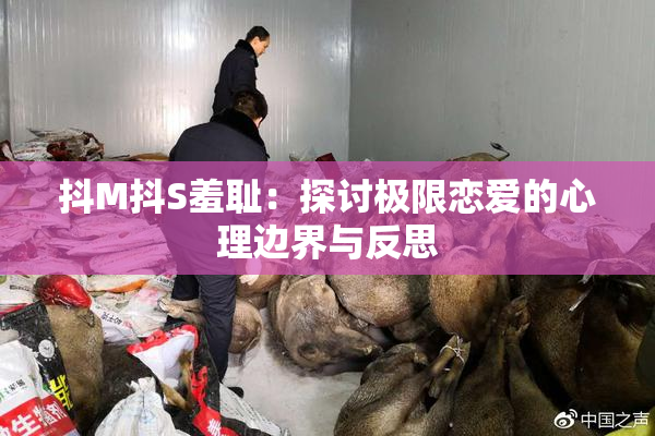 抖M抖S羞耻：探讨极限恋爱的心理边界与反思