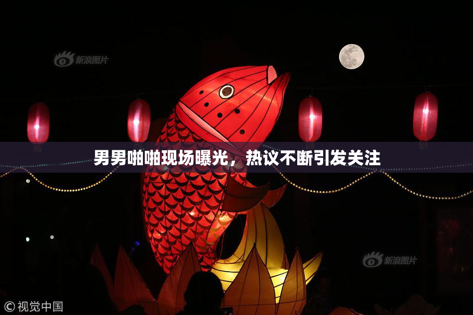 男男啪啪现场曝光，热议不断引发关注