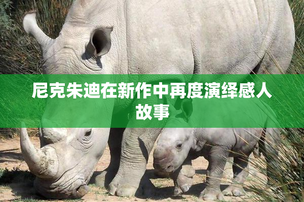 尼克朱迪在新作中再度演绎感人故事