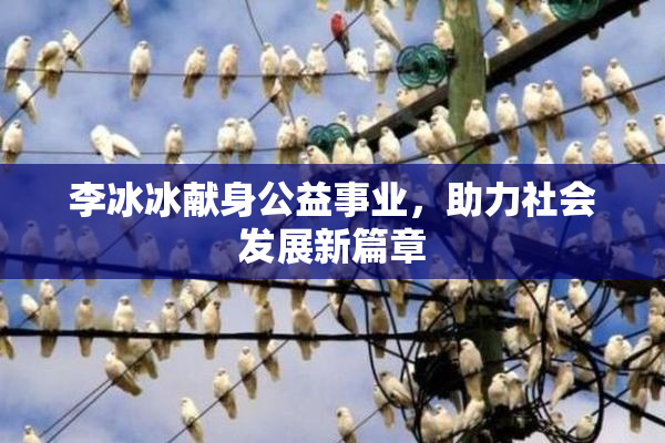 李冰冰献身公益事业，助力社会发展新篇章