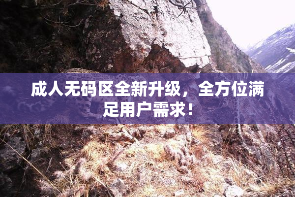 成人无码区全新升级，全方位满足用户需求！