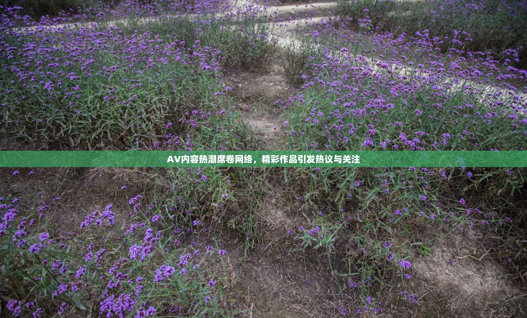AV内容热潮席卷网络，精彩作品引发热议与关注