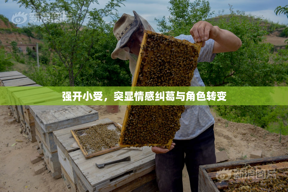 强开小受，突显情感纠葛与角色转变
