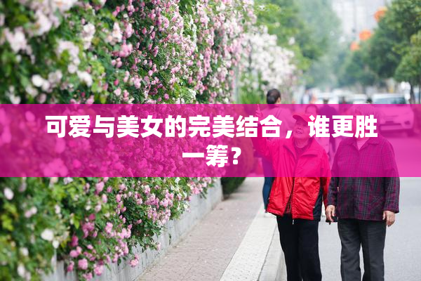 可爱与美女的完美结合，谁更胜一筹？