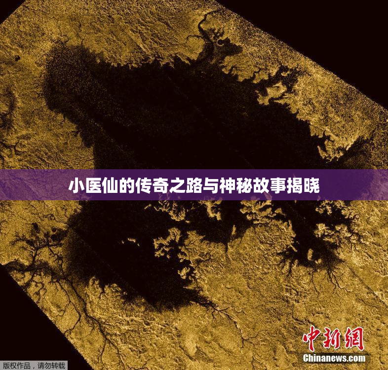 小医仙的传奇之路与神秘故事揭晓